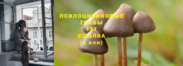 молекула духа Алзамай