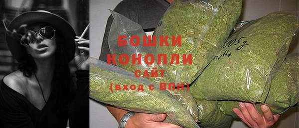 PSILOCYBIN Алексеевка