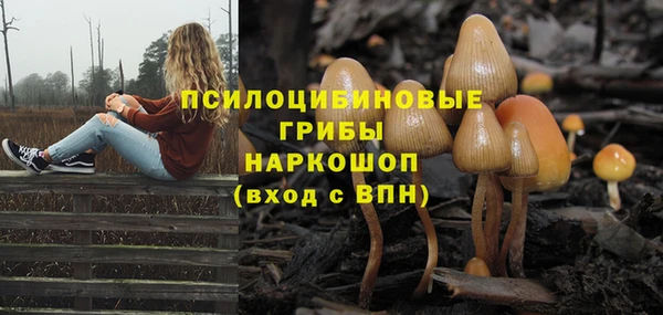 молекула духа Алзамай