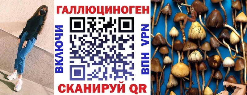 Галлюциногенные грибы мицелий  купить наркотики цена  Чаплыгин 